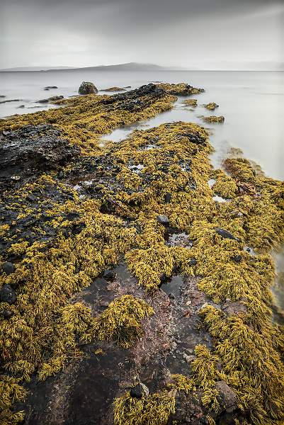 A Grey Morning at Udrigle Bay_Keith Lynch_open.jpg - Curves - Open
